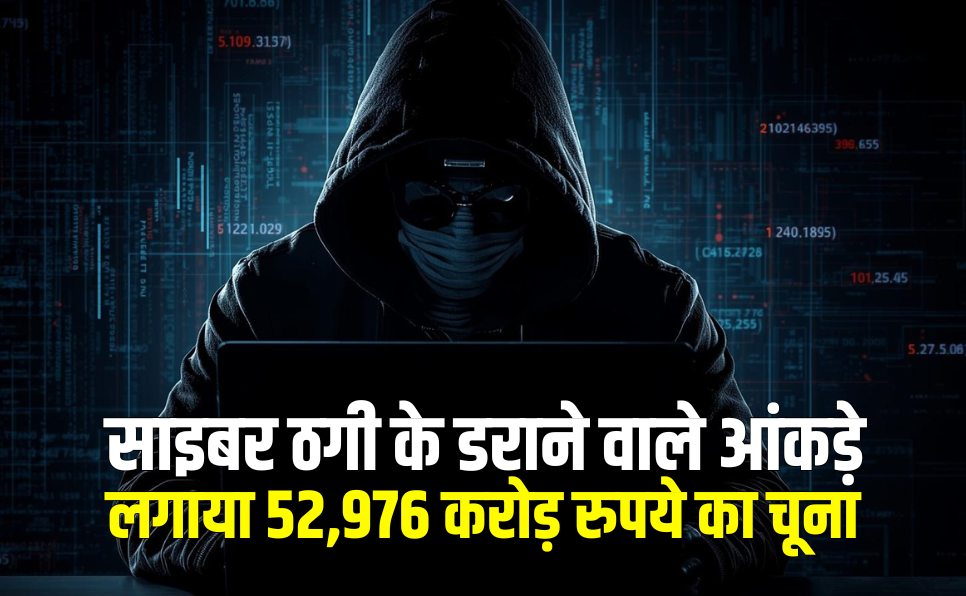 cyber crime statistics